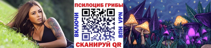 Галлюциногенные грибы Psilocybe  где купить наркоту  Галич 